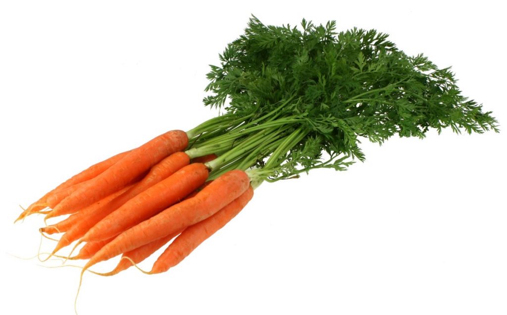carrots-with-green