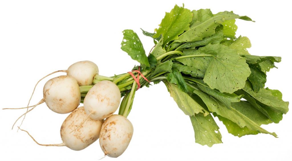 may-turnip